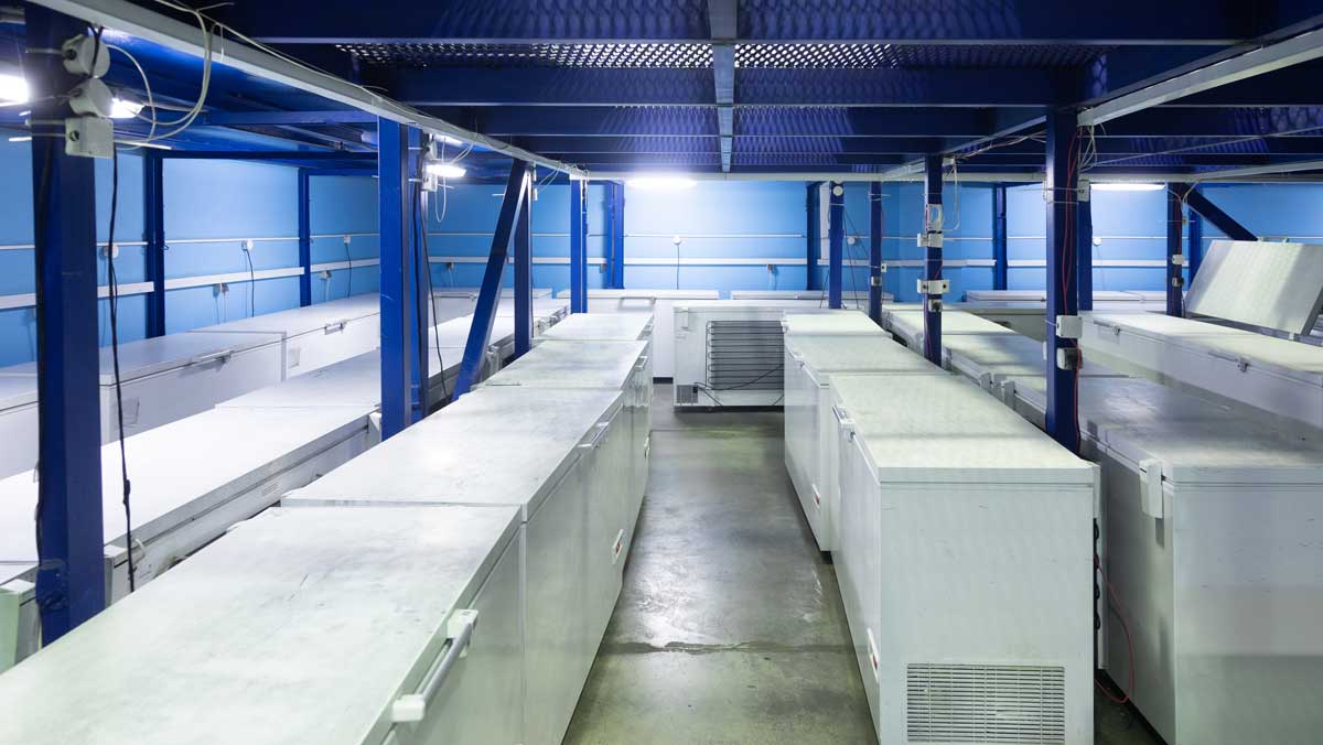 climate controlled storage